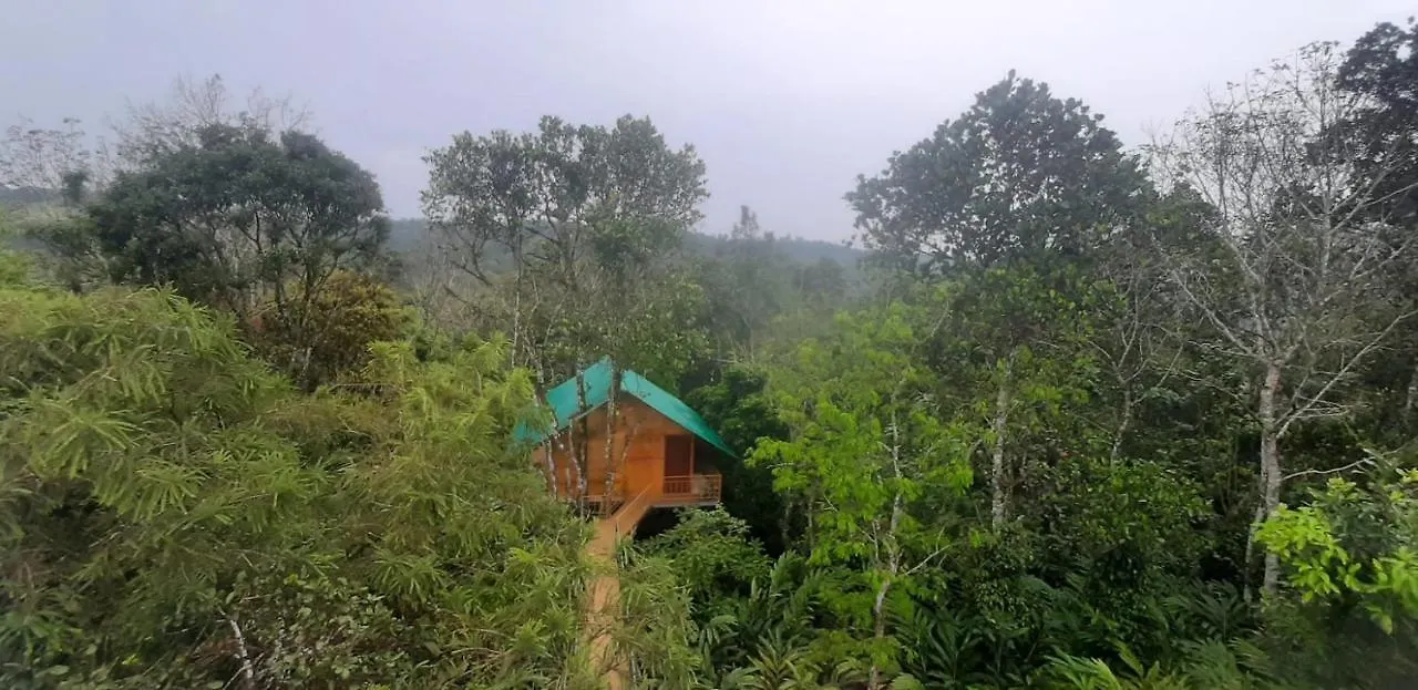 Spice Villa Thekkady India